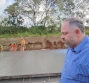 Rodovias